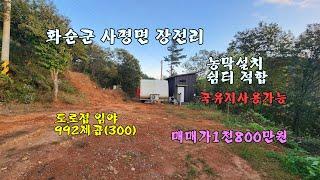 도로접 임야 / 화순군 사평면 장전리 1천800만원 농막설치 쉼터적합