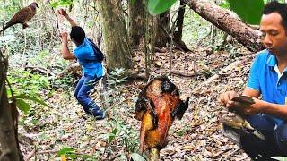 Slingshot Hunting Birds #01 - ไม่เคยเข้าป่ามานาน เจอนกแปลกๆเยอะมาก || Thai S