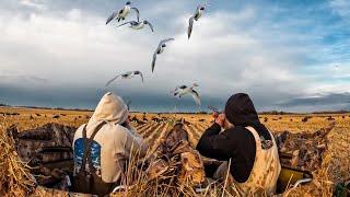 EPIC ALBERTA PINTAIL BEATDOWN! 4 MAN LIMIT