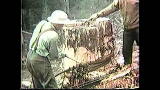 “Logging Operations ” 1950’s vintage lumberjack & lumber industry safety film