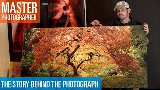 Story Behind the Photograph - The Tree of Life