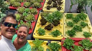 Hawaiian Couple’s Genius Plan to End Food Insecurity Goes Global