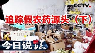 《今日说法》特大假农药案曝光：上亿元体量的“黑色”产业链浮出水面 20241122 | CCTV今日说法官方频道