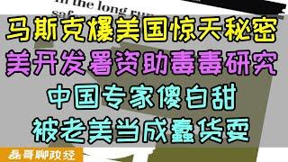 马斯克揭露美国惊天大秘密！美开发署长期资助研究美冠，中国专家傻白甜被老美利用还帮着数钱，单纯又愚蠢