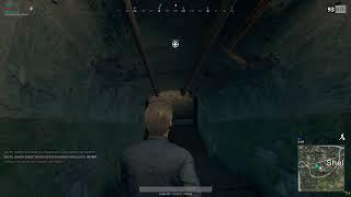 Stealthy PUBG gameplay