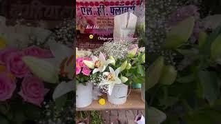 Flowers MARKET Aesthetic vibe (DELHI Bazaar #delhi #market #shopping #collection