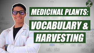 Medicinal Plants Vocabulary and Harvesting