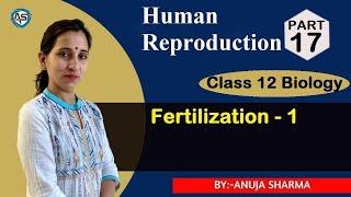 HUMAN REPRODUCTION - FERTILIZATION (PART-1)