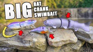 BIG Baits = BIG Bass?! (BIG SWIMBAIT, BIG RAT, BIG CRANK)