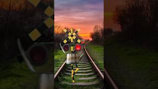 #Railroad Crossings Accident from #Fumikiri Train  #shorts #railcrossing #youtubeshorts