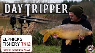 ***DAY-SESSION CARPING*** | DAY TRIPPER | CARP FISHING | DNA BAITS | ELPHICKS FISHERY | OLLY SANDERS