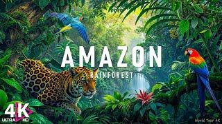 FLYING OVER AMAZON - Amazing Beautiful Nature Scenery & Relaxing Music | 4K Video Ultra HD