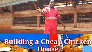 Easy chicken house. As a starter farmer, this is how you should build your poultry house| coop.