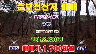 물번,721번) 임야,2.880평 100% 보전관리지역,준보전산지, 더 내려서 1.700만원에 매매합니다, 경사도15~20도 남서향 도로 잘 접하고 도시민도 개발허가 받기 쉬움,