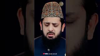 Ho Karam Sarkar - Zohaib Ashrafi #shorts #ytshorts #zohaibashrafi