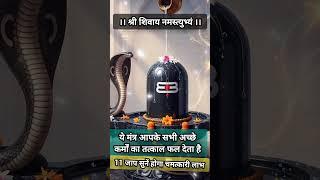 श्री शिवाय नमस्तुभ्यम् इस मंत्र से क्या फायदा है
