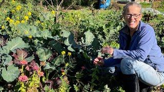 Permaculture Vegetable Gardening - A Little Bit of Time Every So Often!!