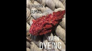 Natural yarn dyeing. Staghorn Sumac Yarn Dyeing