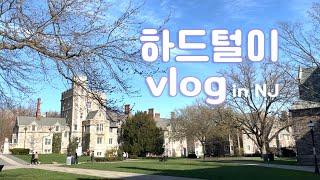 하드털이vlog in NJ | 프린스턴대학교, 자유의여신상, 미국집밥, 쉑쉑버거먹방 오예!