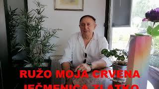 RUŽO MOJA CRVENA  JEČMENICA ZLATKO