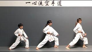 Taikyoku Shodan Kata