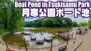 月寒公園ボート池の周りを歩いてきた。　I walked around the Boat pond in Tsukisamu Park.