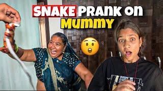 Fake Snake Prank on Mother  | The Roamer Amit ️