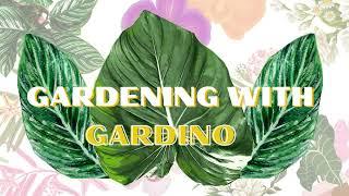 Introducing Gardening with Gardino, the YouTube channel by Gardino Nursery