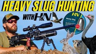 AIR GUN HUNTING WITH H&N HEAVY SLUGS I LONG RANGE AIRGUN HUNTNG I H&N AIR GUN SLUGS  PEST CONTROL