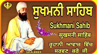 sukhmani sahib |ਸੁਖਮਨੀ ਸਾਹਿਬ ਪਾਠ {vol-227}  sukhmani sahib Nitnem|gurbani records haveli |manjeet