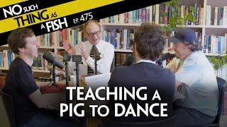 Pigs Make Perfect Mediaeval Pets | NSTAAF 475