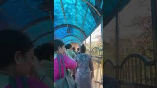 Nidhivan _Vrriadavan #nidhivanvrindavan #radheradhe #shorts #yshorts #aman #subscribe
