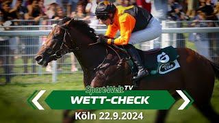 Wett-Check - Köln 22.9.2024