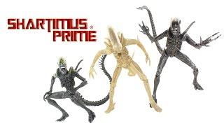 NECA Toys Alien vs Predator Grid Alien, Warrior, and '79 Concept Prototype Series 7 Movie Action Fig