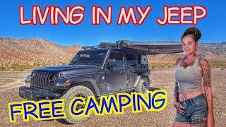 Epic Overland Adventure In The Desert | 3 Years Solo Traveling & Living In My Jeep