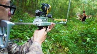 Slingshot rifle hunted a pheasant with fishing wheel and dart for the first time.