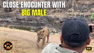 Close Encounter with Big Male Tiger T121 in Ranthambore National Park Zone 4 | Summer Safari 2024