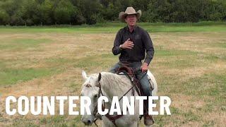 All about the Counter Canter!