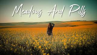 Meadows And Pills - Free Post Malone Type Beat With Relaxing Nature Sounds