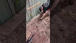 Digging and removing the retaining wall #handyman #diwhy #shorts