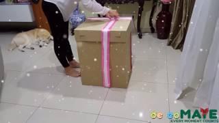 Love Balloon Surprise Box