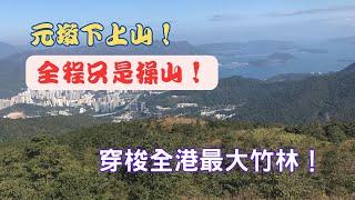 【元墩下上山！】全程只是操山！【一路行一路講】