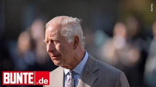 König Charles III. - er pausiert seine Krebsbehandlung