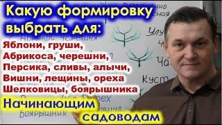 ВЫБОР ФОРМИРОВКИ КРОНЫ разных деревьев для начинающих садоводов