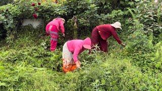 lets hard work for the clean up our nunerry!!རང་རེ་བཙུན་དགོན་དུ་གཙང་སྦྲའི་དུས་འདིར་གཟིགས་དང་།️