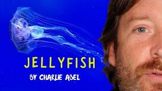 Jellyfish,  Accordion music & Lyrics by Charlie Abel