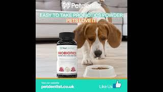 Probiotics Powder For Cats & Dogs |