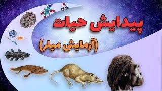 زندگی چطور و از کجا به وجود اومده؟