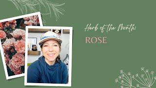 Herb of the Month: Rose