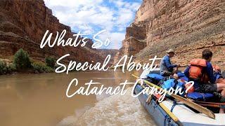 What's So Special About Cataract Canyon? | Mild to Wild Rafting & Jeep Tour